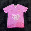 Camiseta Brasil Rosa x D. Valentino