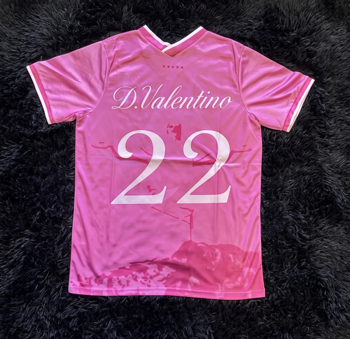 Camiseta Brasil Rosa x D. Valentino